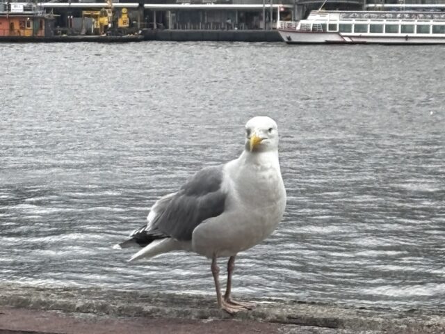 Ausflug nach Hamburg